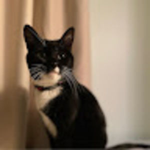 Meet your Posher, Connie